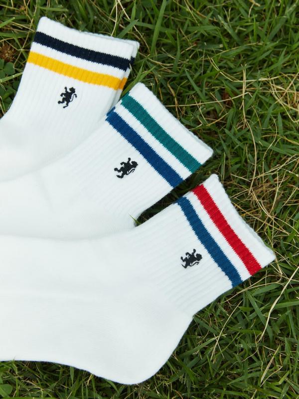 Gymphlex | カラーラインソックス MEN