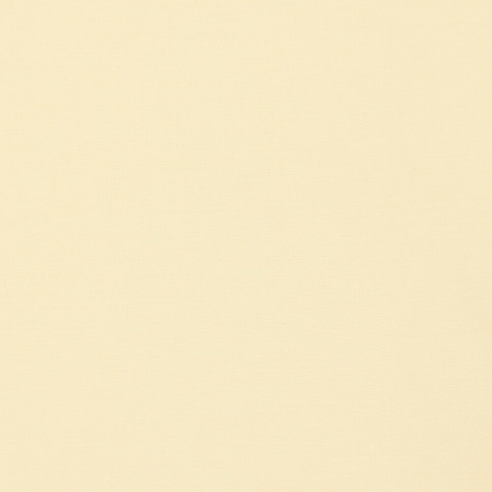 YELLOW系1