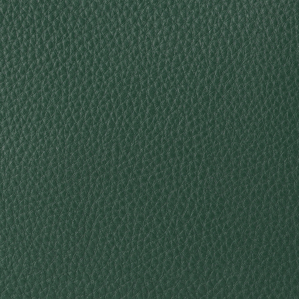 DKGREEN