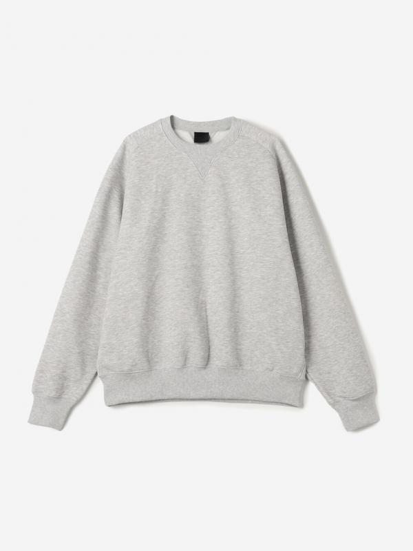 DAIWA PIER39 | TECH SWEAT CREW FREEDOM SLEEVE MEN