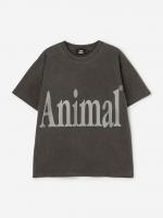 BSG261L103-0015_color_0063_160x200