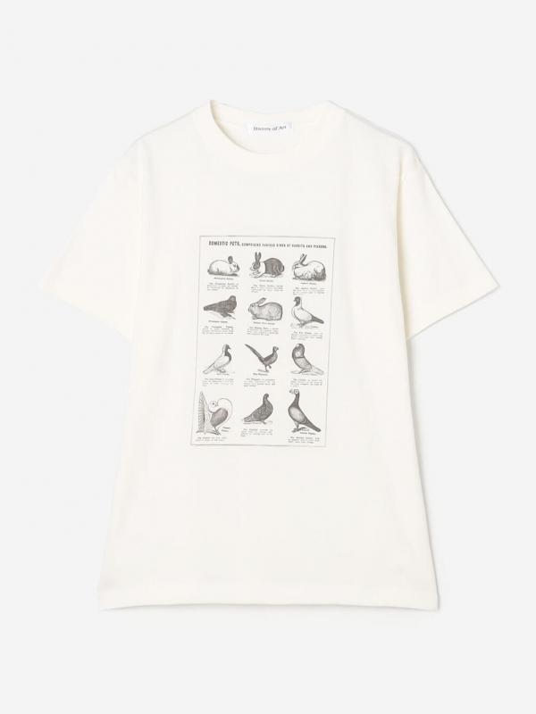 History of Art | プリントTシャツ RABBITS & BIRDS WOMEN