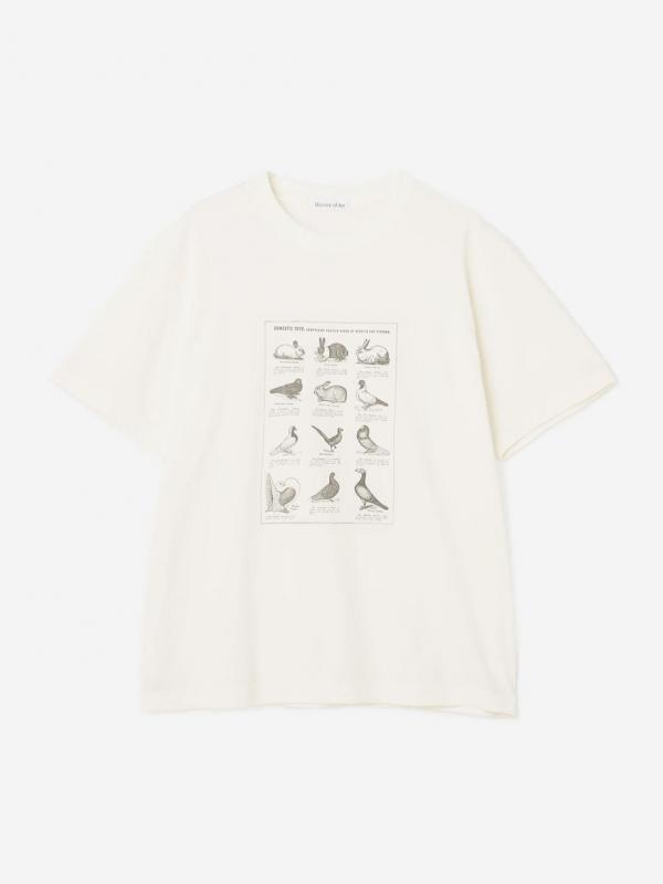 History of Art | プリントTシャツ RABBITS & BIRDS MEN