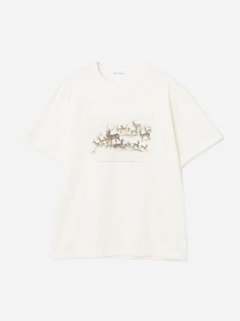History of Art | プリントTシャツ DEER MEN
