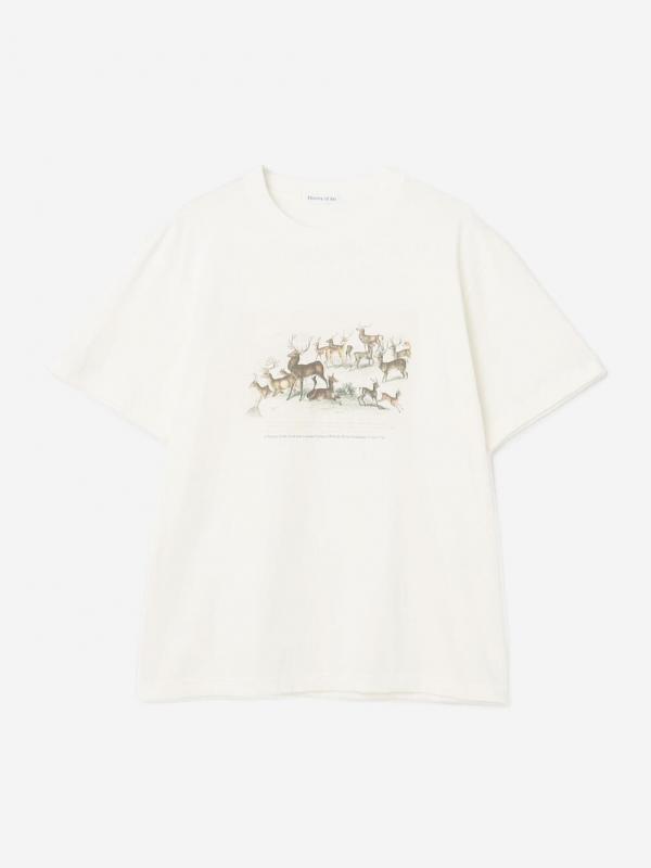 History of Art | プリントTシャツ DEER MEN