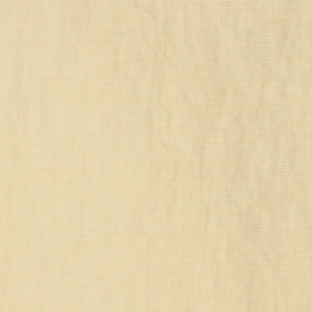 WHITE系1