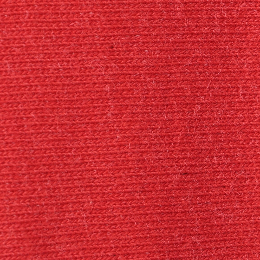 RED系1