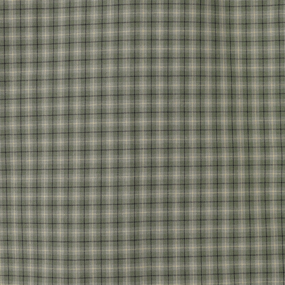 GREEN系1