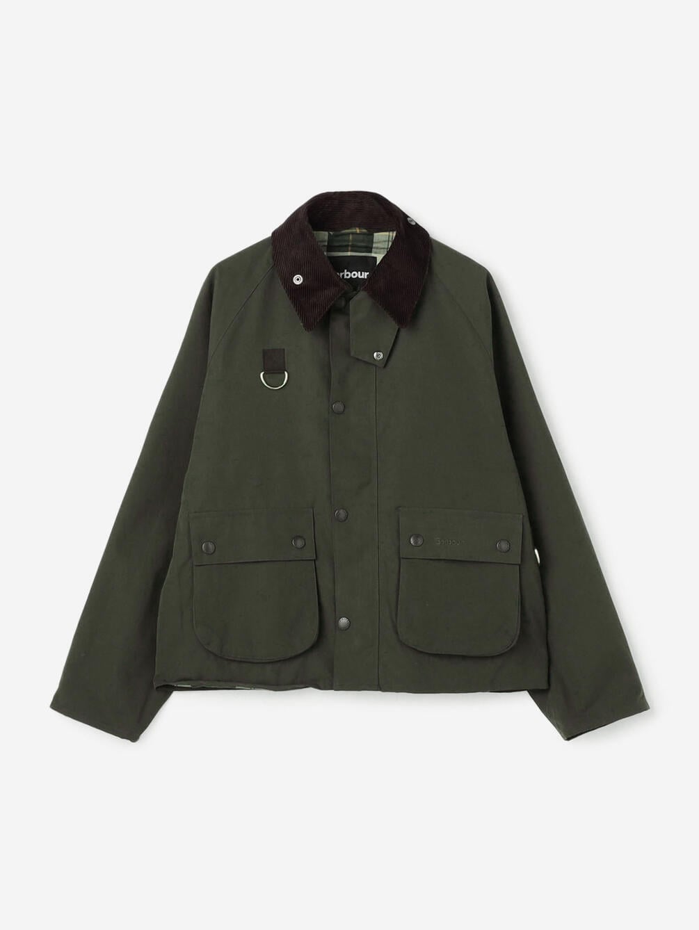 OLIVE