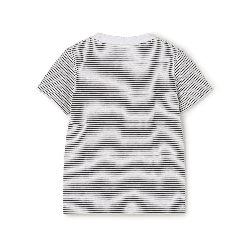 KIDS' SHORT SLEEVE POCKET T-SHIRT STRIPE｜KIDS｜DANTON(ダントン
