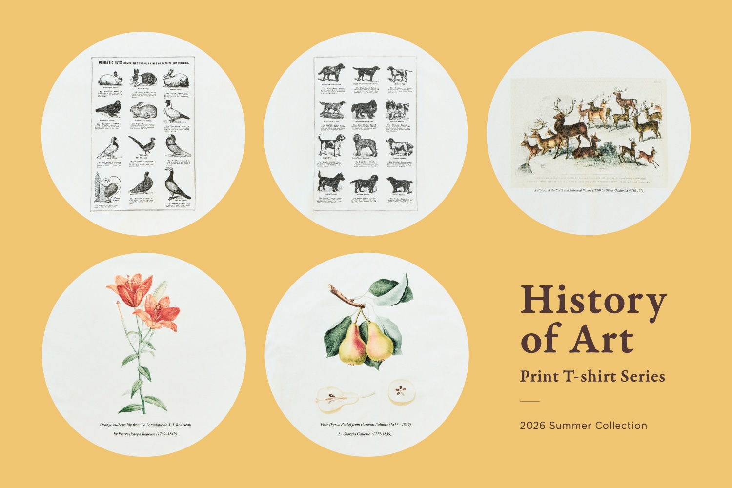 History of Art