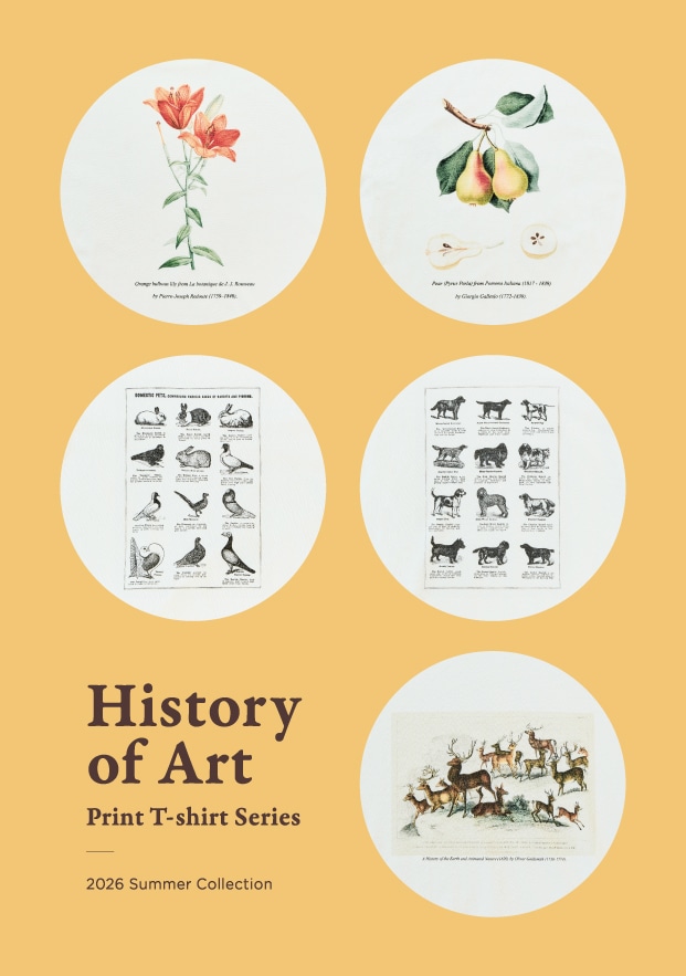 History of Art - 26SS